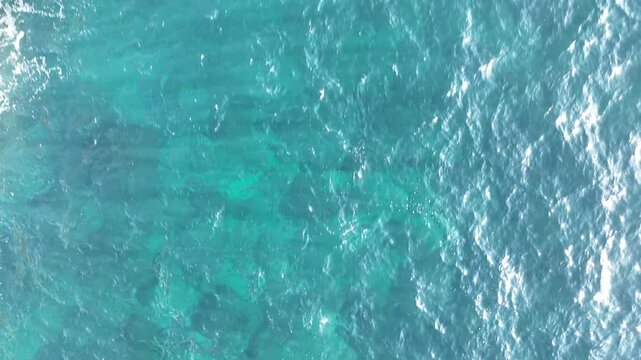 藍ヶ江漁港周辺の海を空撮