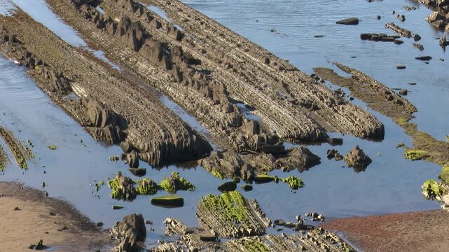 Flysch rock formations on the sopelana beach