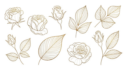 Obraz premium Set of golden rose flowers and leaves