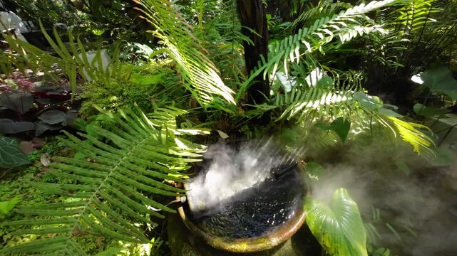Tropical jungle with river and sun beam and foggy in the green forest garden	