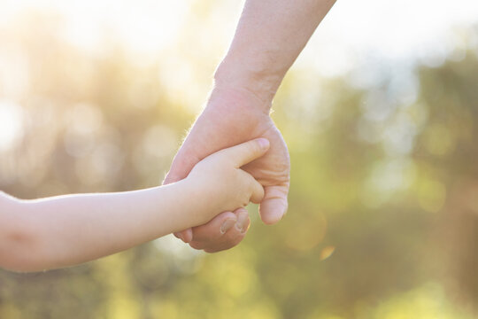 Loving fathers hand holding his little child in sunny day, united family, support of trust and happy childhood concept, spending time together and walking in parkland.