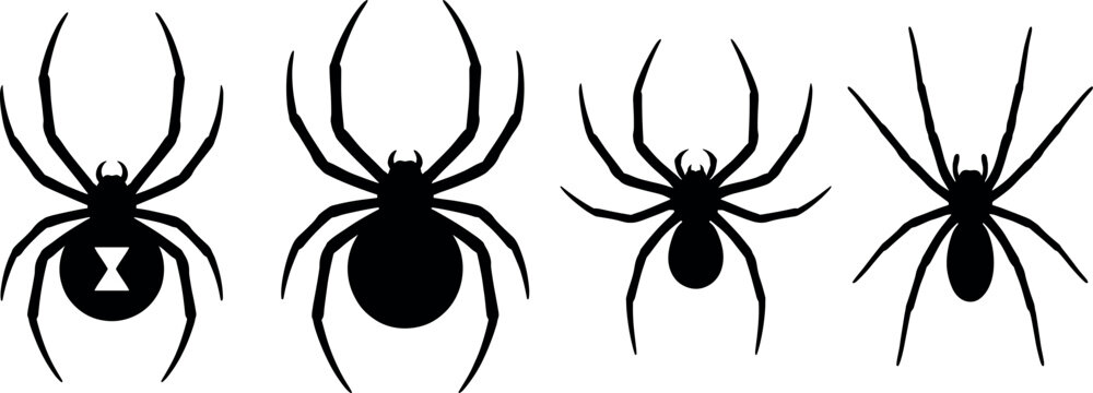Spider Vector Set with Different Body Shapes and Poses for Insect, Nature, and Halloween Designs
