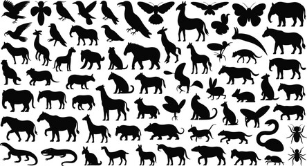 Fototapeta premium Large collection of diverse animal silhouette vector illustrations featuring birds, mammals, reptiles, insects, and creative wildlife artwork