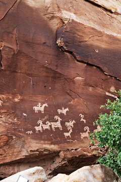 Ancient Ute Indian petroglyphs on red rock wall in Arches National Park near Moab Utah, historical Native American rock art depicting hunting scene with horses and bighorn sheep.
