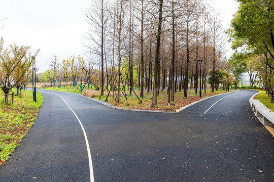 Choose at an outdoor crossroads