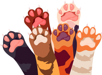 Cat Paw's Illustration © Ziki