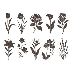 Naklejka premium Set of hand drawn wild plants and flowers isolated on white background