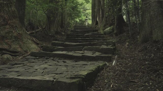 世界遺産 熊野古道 中辺路 大門坂 苔むした石畳｜和歌山県那智勝浦町 Daimonzaka Moss‑Covered Stone Steps, Kumano Kodo Nakahechi, Nachikatsuura, Wakayama, Japan