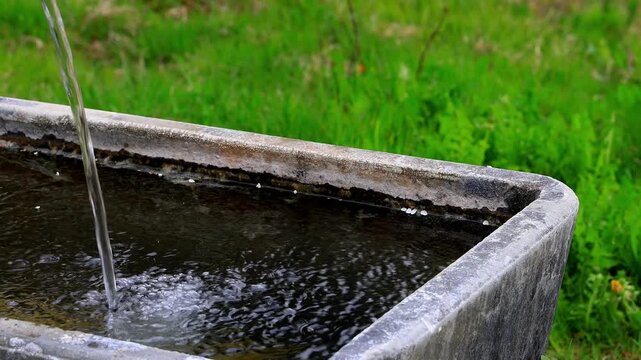 alpine drinking trough on a alpine meadow 4k video