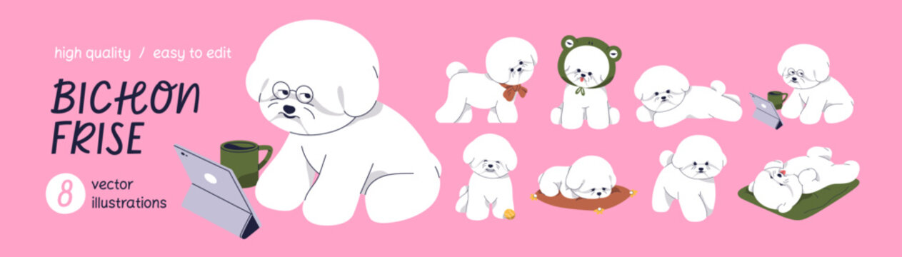Funny little dog of Bichon Frise breed. Set of sweet fluffy puppies with gadget, walking, playing, sleeping. Toy doggy activities. Cute baby canine animal, puppy. Isolated flat vector illustrations