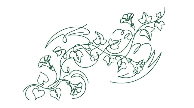 Elegant Botanical Vine Line Art Illustration.