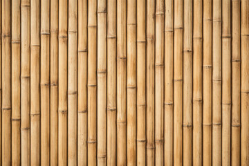 Fototapeta premium Bamboo Stalk Wall Texture Background