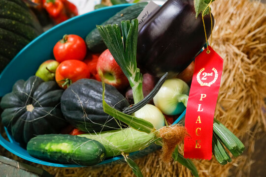 Prize winning vegetables with red second place ribbon