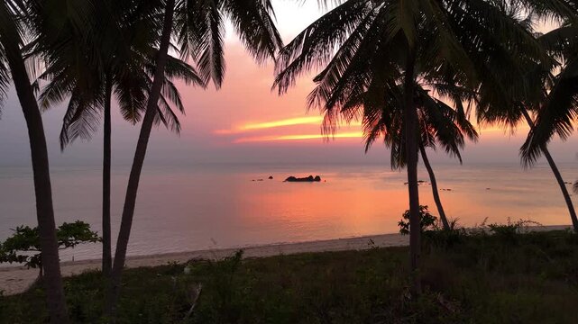 Fly to sea under coconut tree at Taling Ngam beach, Koh Samui