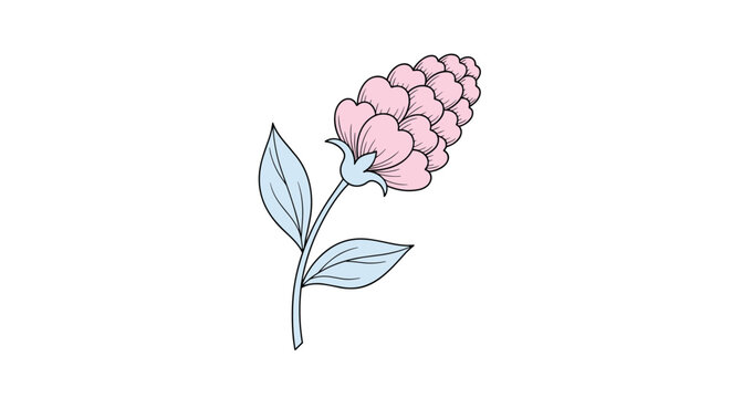 Pink flower spike with textured petals and light blue leaves illustrated in a vintage botanical drawing style.
