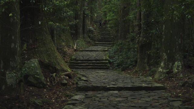 世界遺産 熊野古道 中辺路 大門坂 苔むした石畳｜和歌山県那智勝浦町 Daimonzaka Moss‑Covered Stone Steps, Kumano Kodo Nakahechi, Nachikatsuura, Wakayama, Japan