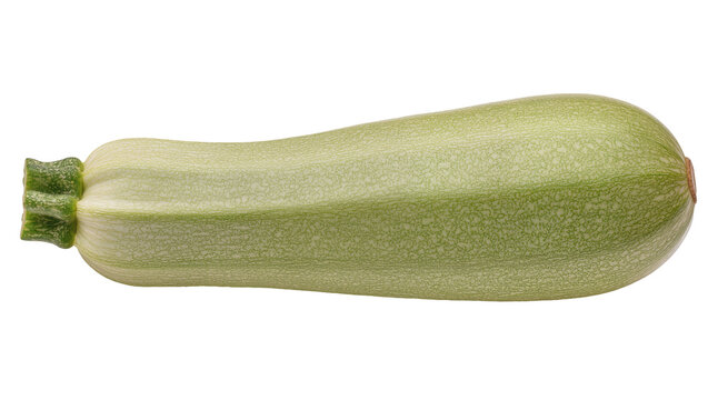 Pale green zucchini vegetable with textured skin, isolated on transparent background