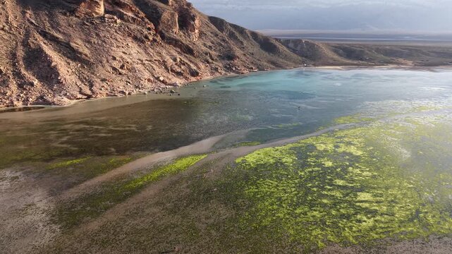 Aerial rocky desert lagoon with green algae at low tide. Detwah Lagoon, Sokotra, Yemen.