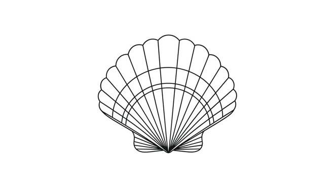 Intricate black and white line drawing of a symmetrical scallop seashell showing detailed ridges and natural sea patterns.
