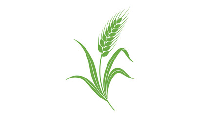 Obraz premium Simple illustration of a single green wheat ear with its surrounding long leaves representing agriculture and healthy grain.