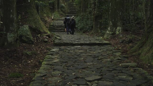 世界遺産 熊野古道 中辺路 大門坂 苔むした石畳｜和歌山県那智勝浦町 Daimonzaka Moss‑Covered Stone Steps, Kumano Kodo Nakahechi, Nachikatsuura, Wakayama, Japan