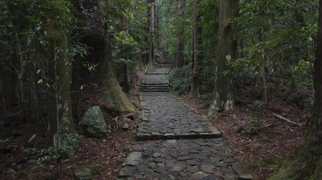 世界遺産 熊野古道 中辺路 大門坂 苔むした石畳｜和歌山県那智勝浦町 Daimonzaka Moss‑Covered Stone Steps, Kumano Kodo Nakahechi, Nachikatsuura, Wakayama, Japan