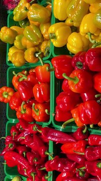 Red, yellow sweet peppers on a table in a jar in the form of pepper