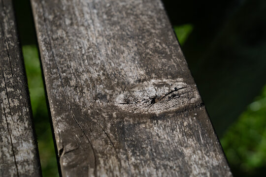 knot in wood 