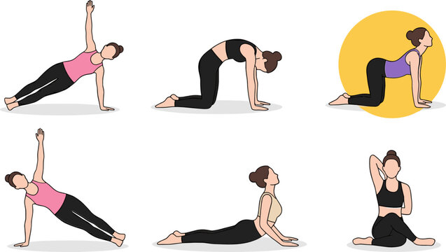 Yoga Poses Sequence Collection Featuring Stretching, Flexibility, Balance, and Wellness Exercises for Fitness Routine, Healthy Lifestyle, and Mindfulness Practice Vector Illustration Set