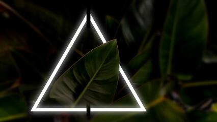 Glowing white neon triangle frame over dark green tropical leaf background. Minimalist geometric design with cinematic nature theme ideal for modern digital displays and creative templates © sutthichai