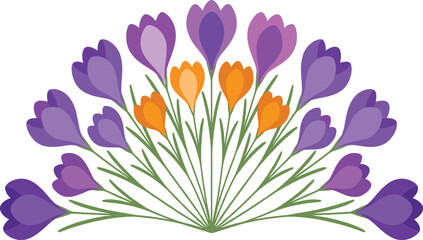 Beautiful Symmetrical Bouquet of Purple and Orange Crocus Flowers with Green Stems for Spring Season Greetings, Garden Displays, Floral Patterns, and Nature Themed Designs © kanichfatima
