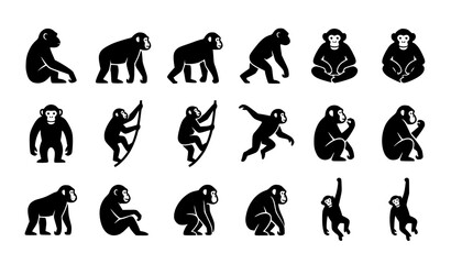 Chimpanzee monkey silhouettes collection with wild apes sitting walking climbing standing and hanging isolated on white background vector icons set © Mohammad