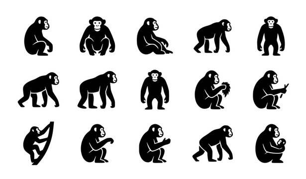 Chimpanzee monkey silhouettes collection featuring wild apes sitting walking standing and climbing isolated on clean white background vector iconS