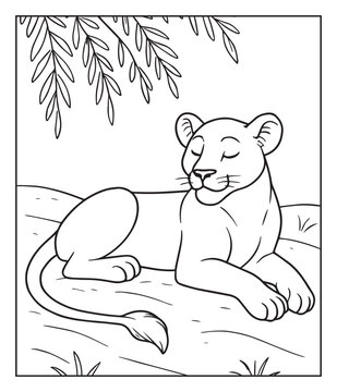 Jungle animal lion sleeping under a tree coloring page for kids, black line art vector illustration children educational activity book