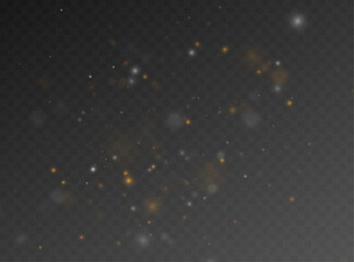 Fototapeta premium Luminous mixed white and gold dust with floating particles and soft glow. Gentle shimmer creates magical elegance. Perfect design element for banners. vector