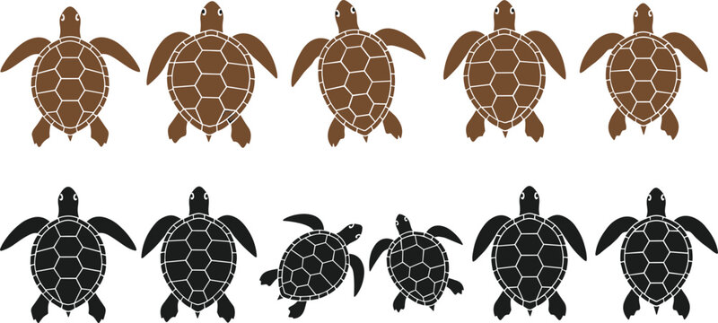 Sea turtle silhouettes collection with top view marine reptiles in brown and black styles, detailed shell pattern vector illustration set
