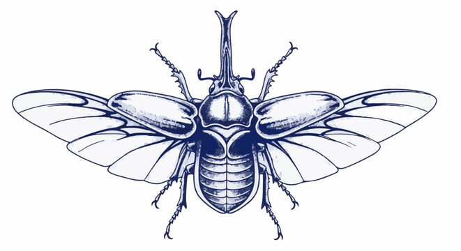 Intricate blue ink drawing of a large beetle with open wings