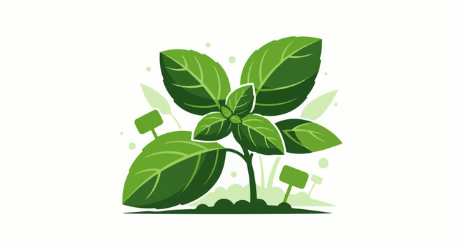 Fresh green basil plant illustration with small garden markers
