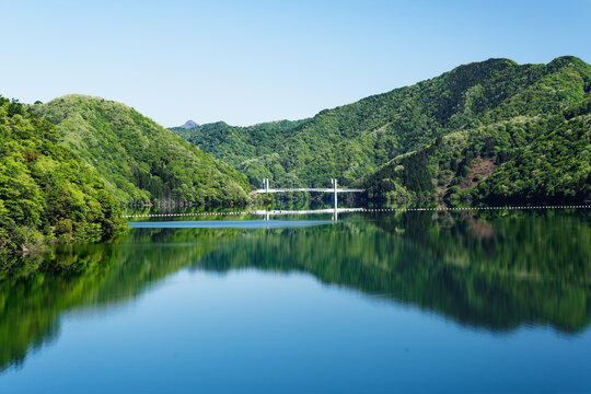 Calm Mountain Lake with Fresh Green Forest Reflections and Distant Bridge in Spring