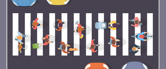 Crosswalk top view with pedestrians on zebra crossing, city street traffic scene with cars, cyclists, dog and walking people, urban road safety flat vector illustration © Ukio.stock