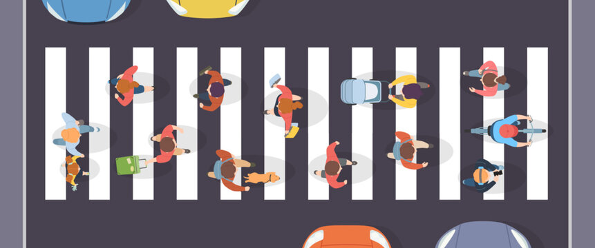 Crosswalk top view with pedestrians on zebra crossing, city street traffic scene with cars, cyclists, dog and walking people, urban road safety flat vector illustration