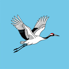Fototapeta premium White Bird Flying in Sky.