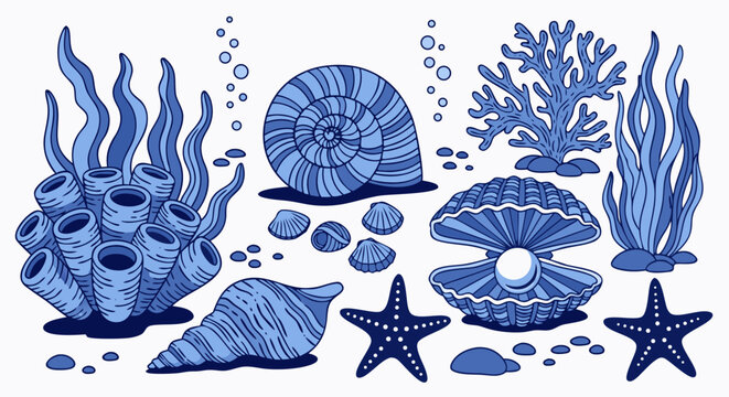 Collection of marine life such as seashells, corals, and starfish, displayed in a stylized illustration style