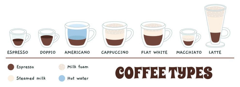 Coffee types chart with espresso, americano, cappuccino, latte and more. Visual guide to ingredients and proportions for cafe menu and education. Trendy modern vector illustration, flat design