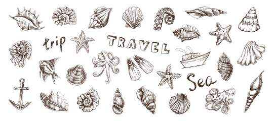 Hand drawn vintage sea travel collection with shells octopus anchor fish and nautical engraved vector illustration set © Mariia Mazaeva