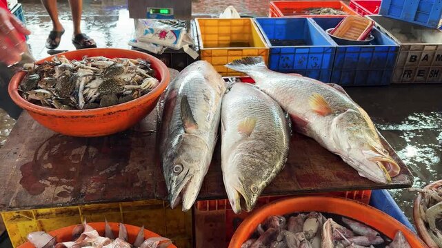 fresh seafood display with large fish crabs and squid at busy local fish market stall