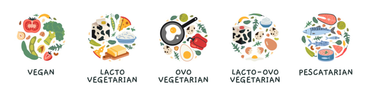 Vegetarian diet types like vegan, lacto, ovo vegetarian and pescatarian. Food lifestyle comparison concept. Trendy modern vector illustration isolated on white background, hand drawn, flat design