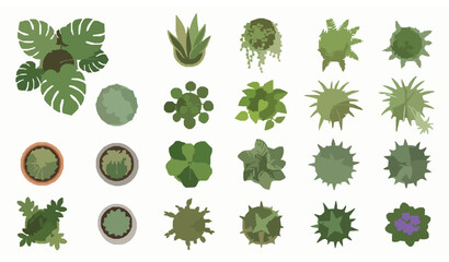 Top view indoor plant collection with different potted greenery flat vector set on white background © MdShakil
