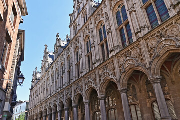 Obraz premium Malines (Mechelen): il Municipio (Stadhuis van Mechelen), nella piazza Grote Markt, Fiandre, Belgio