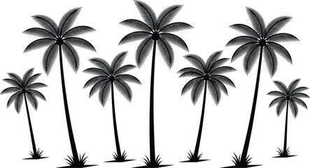 Fototapeta premium Palm trees silhouettes collection set, tropical summer landscape elements in black vector style for beach, island and nature design illustration isolated background